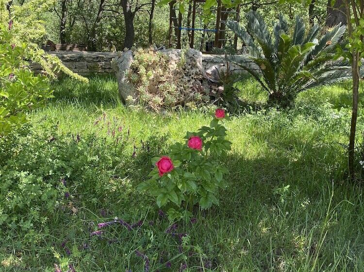 Отель Tenuta Giannini