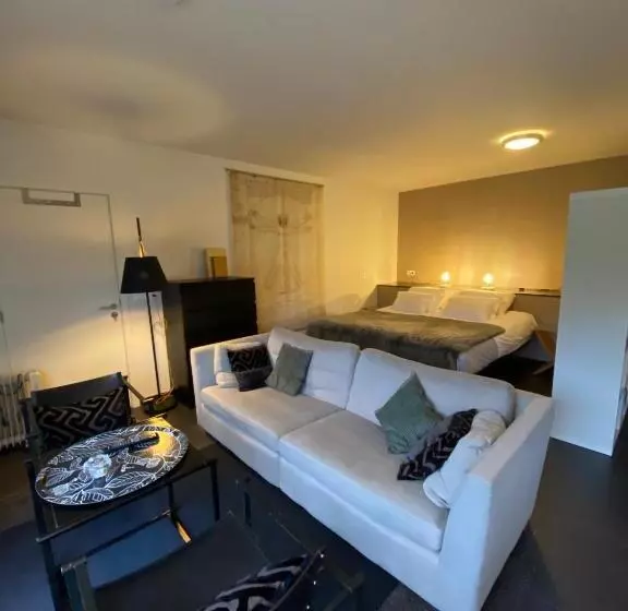 Aamiaismajoitus (B&B) Studio & Appartement Au Lac