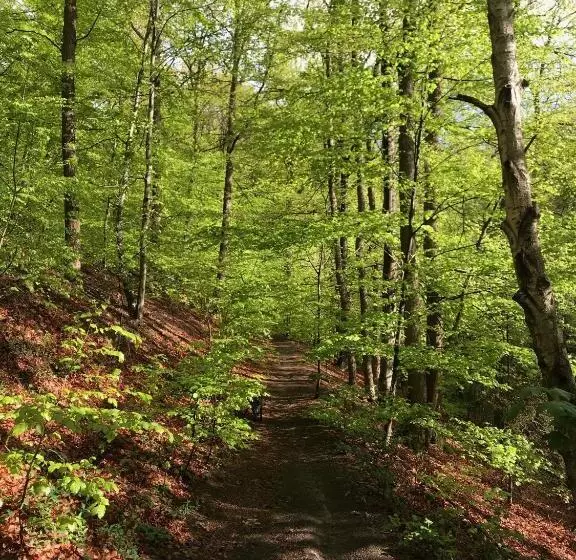 Aamiaismajoitus (B&B) Studio & Appartement Au Lac