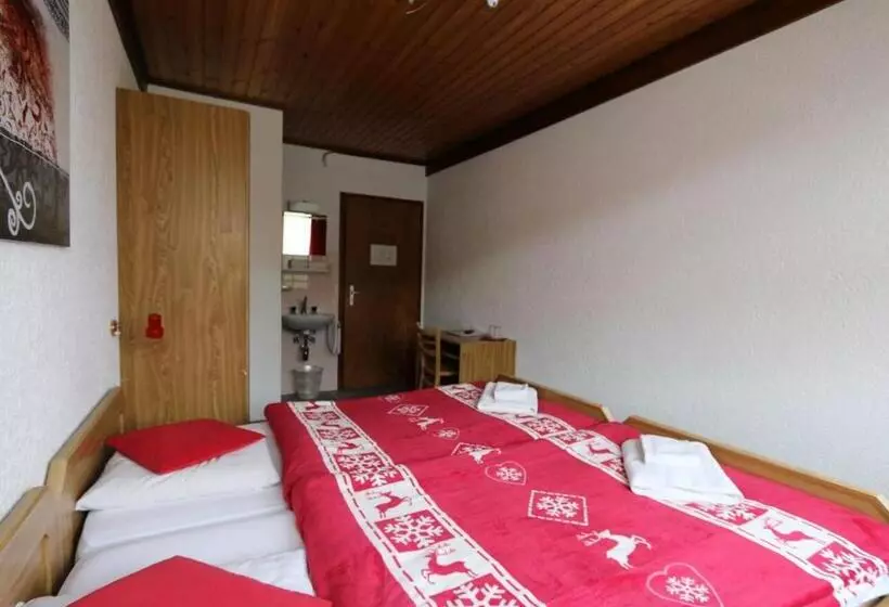 هتل Des Portes Du Soleil