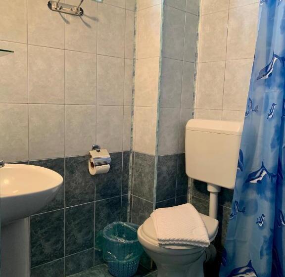 بنسيون Casa Palaghia