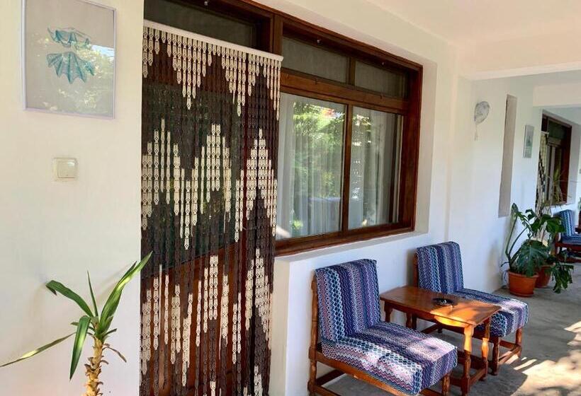 بنسيون Casa Palaghia