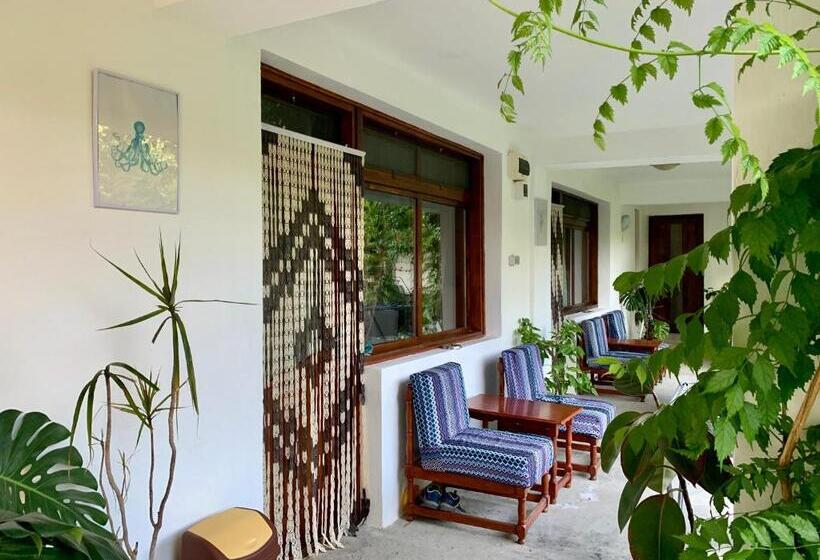 بنسيون Casa Palaghia