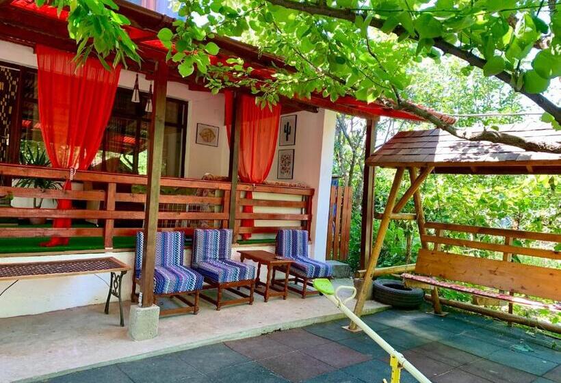 بنسيون Casa Palaghia