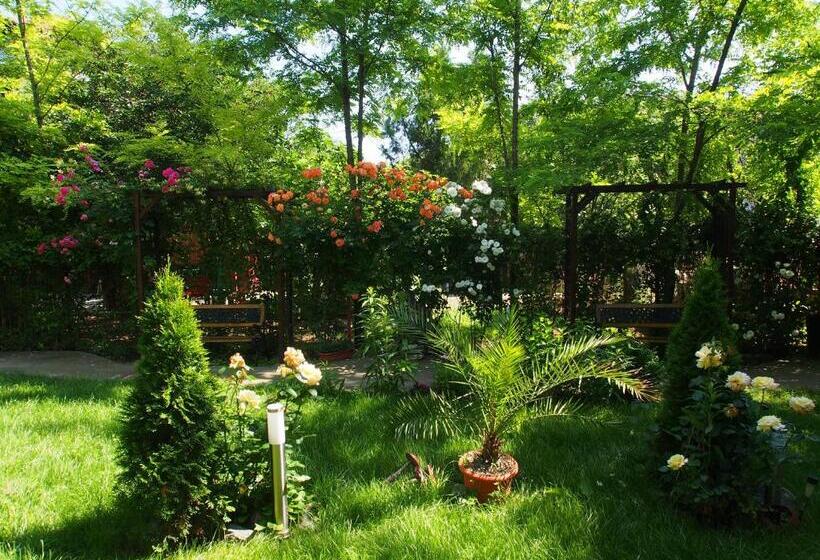 بنسيون Casa Palaghia