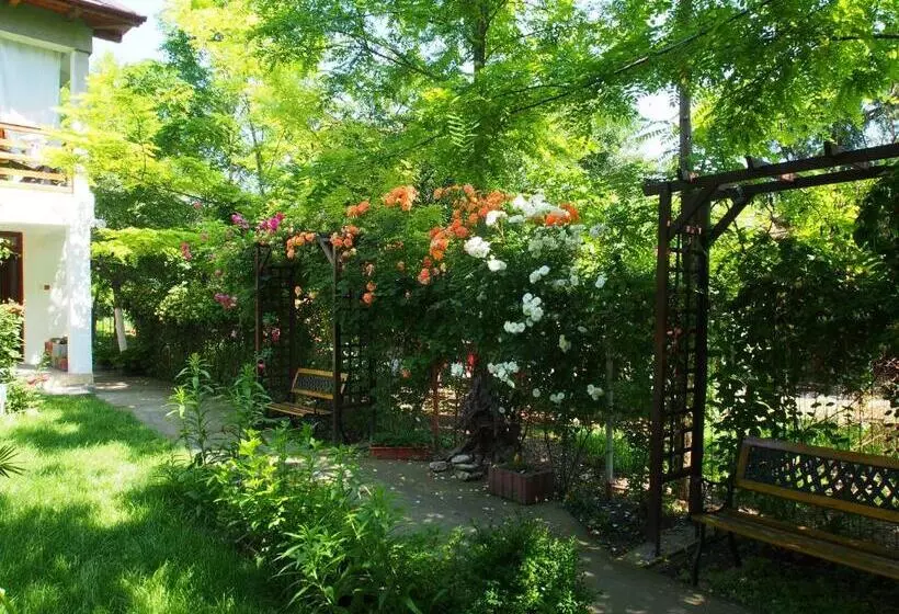 ペンション Casa Palaghia