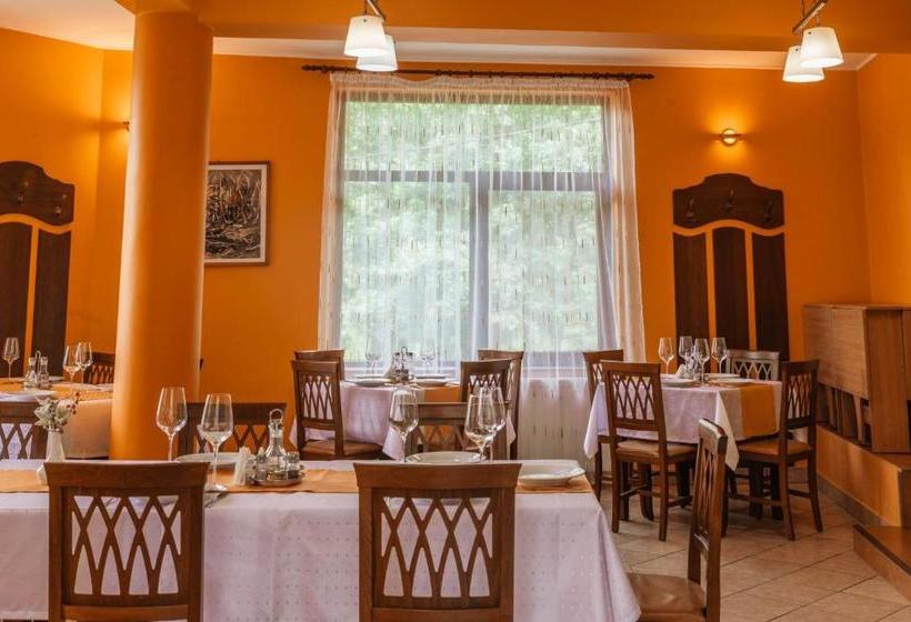 펜션 Medve Desag Ursul