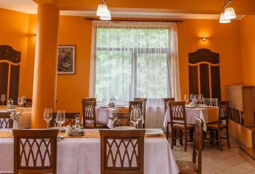 ペンション Medve Desag Ursul