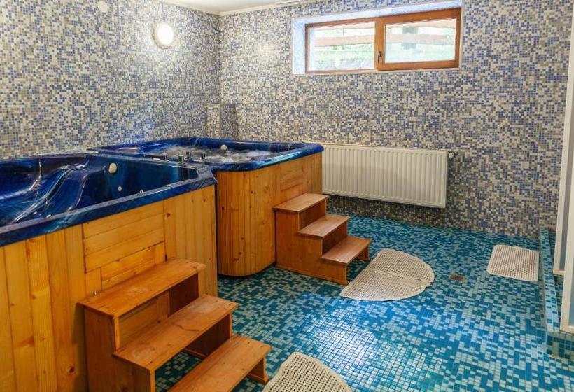 펜션 Medve Desag Ursul