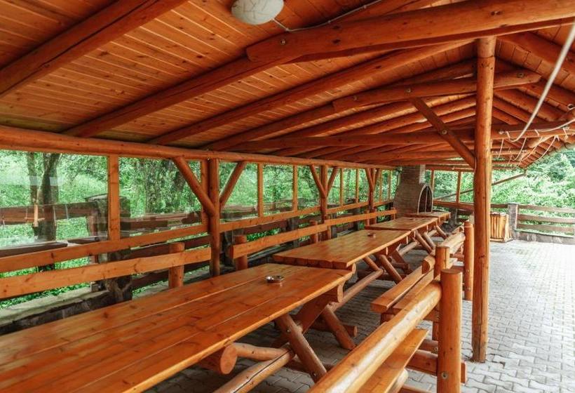 펜션 Medve Desag Ursul