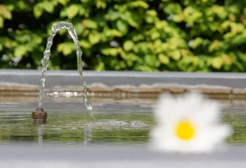 فندق Kloster Fischingen