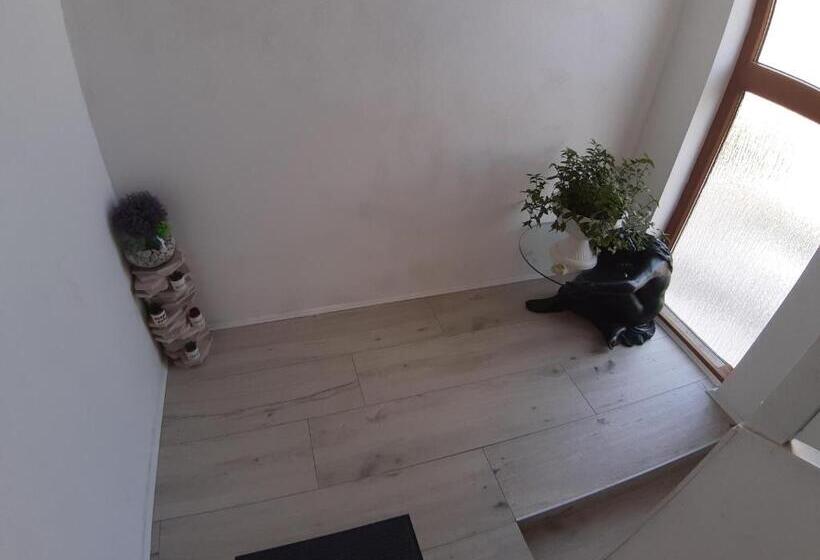 بنسيون Guest House Marija