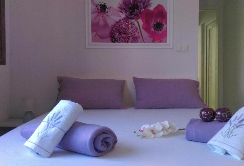 بنسيون Guest House Marija