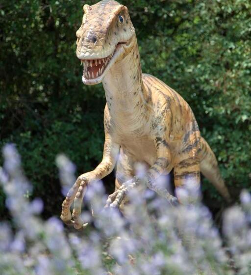 Panzió Mon Perin Castrum Rooms Dado