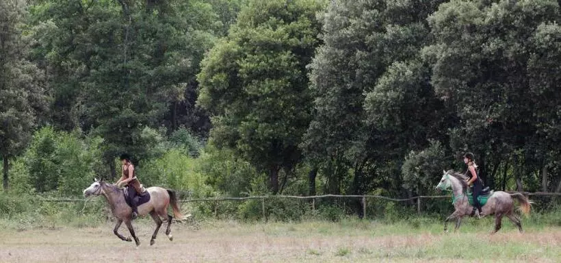 ペンション Mon Perin Castrum   Rooms Dado