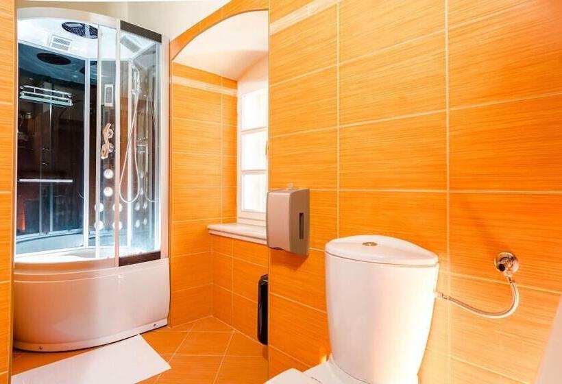 بنسيون Rooms Miron