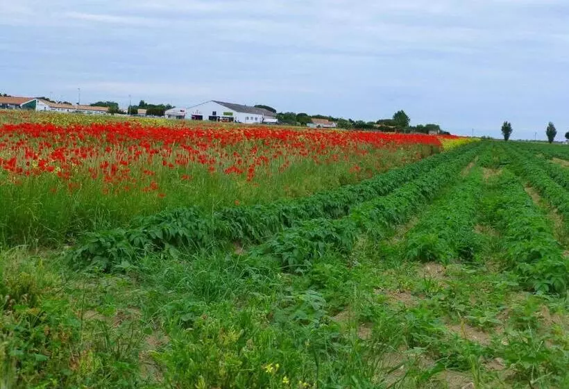 Relais Motel De Maisonnay