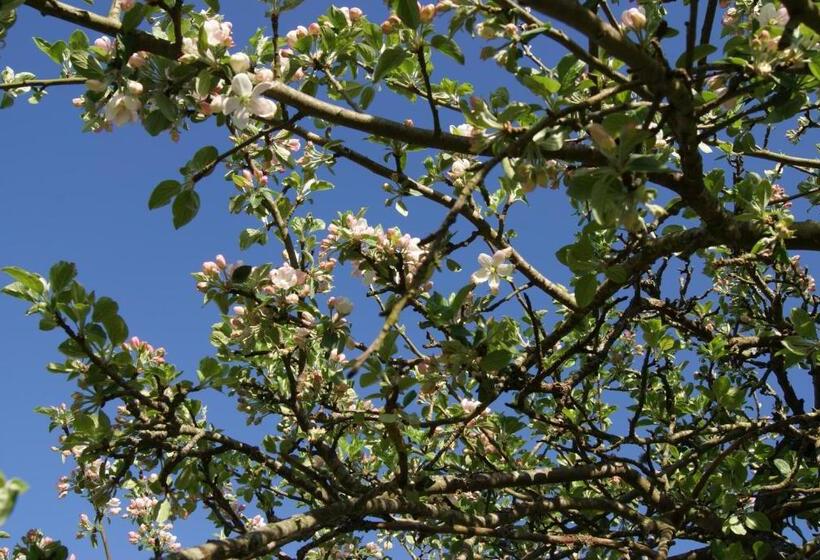Manoir De La Pataudière B&b