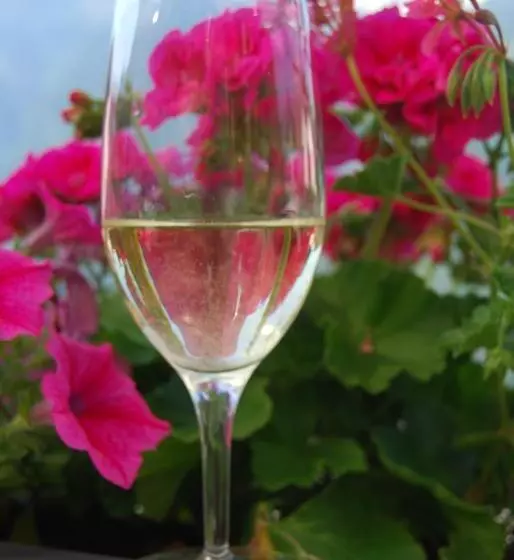 Retkeilymaja Osteria Anzonico