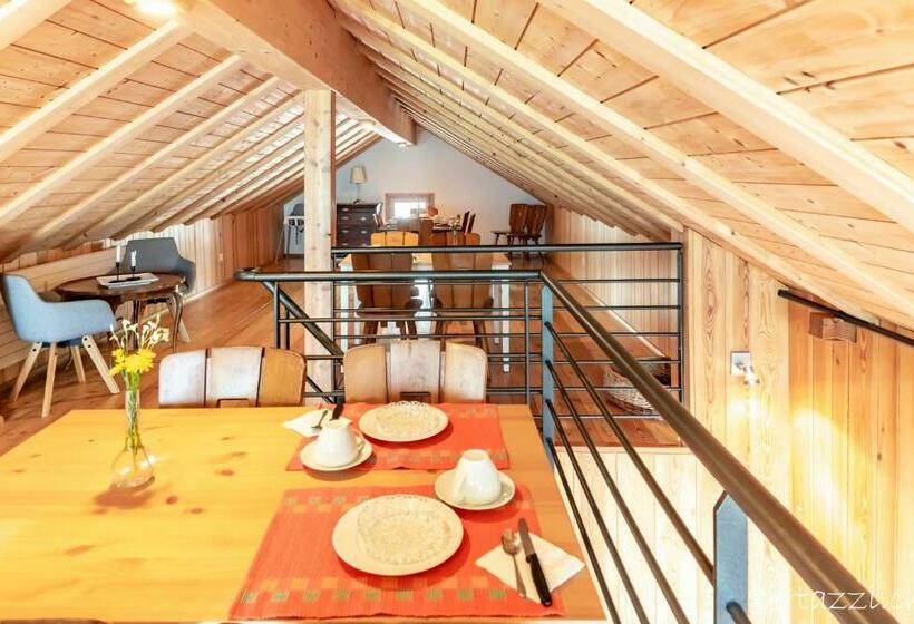 Bed and Breakfast Appartamenti Bertazzi