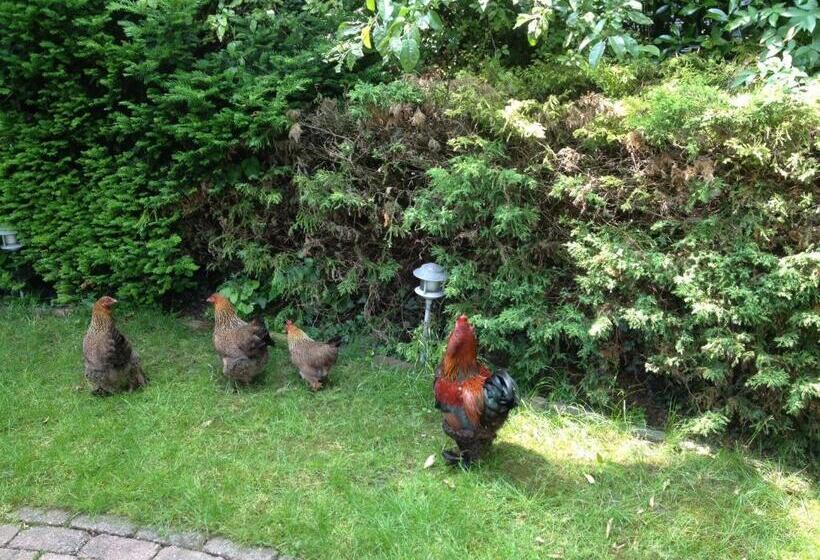 Bed And Breakfast Azzurro