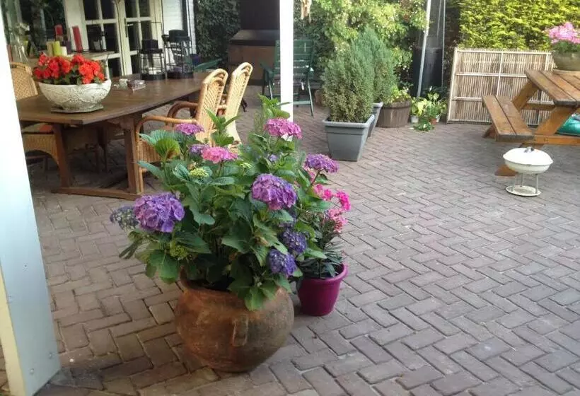 Bed And Breakfast Azzurro