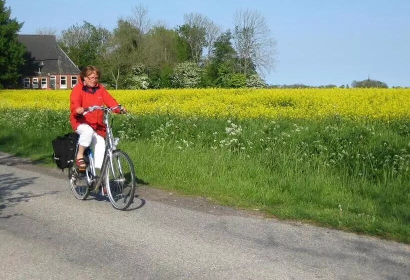 ベッドアンドブレックファースト Finisterre