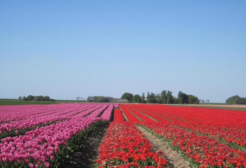 Bed and Breakfast Finisterre