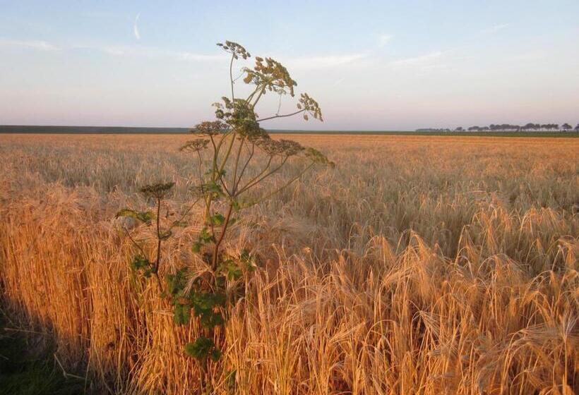Bed and Breakfast Finisterre