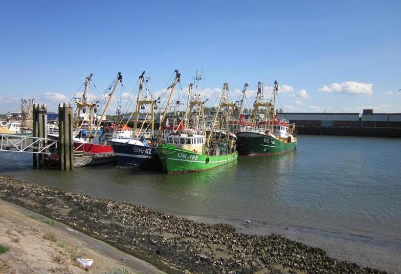 Bed and Breakfast Finisterre