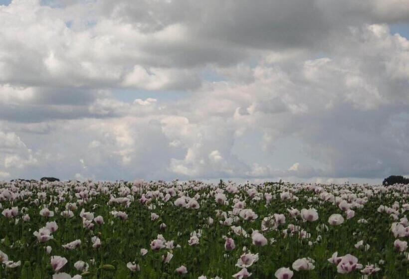 Bed and Breakfast Finisterre