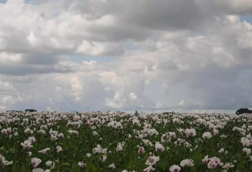 ベッドアンドブレックファースト Finisterre