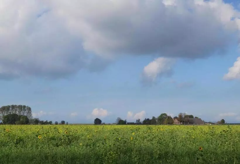 ベッドアンドブレックファースト Finisterre