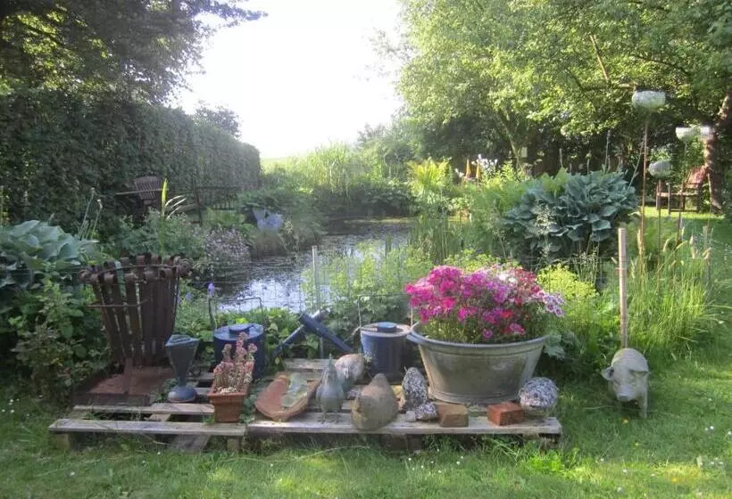 ベッドアンドブレックファースト Finisterre