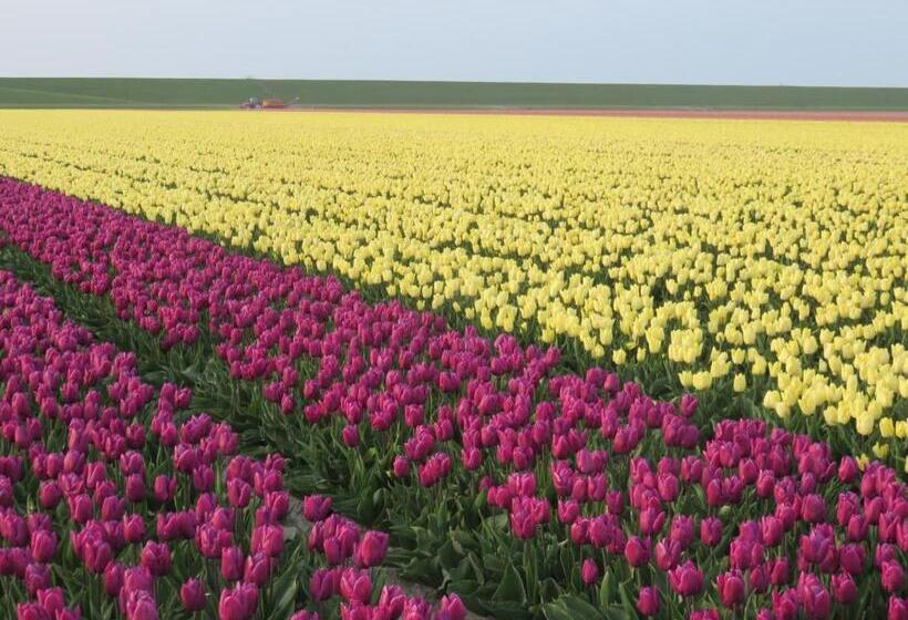 Bed and Breakfast Finisterre