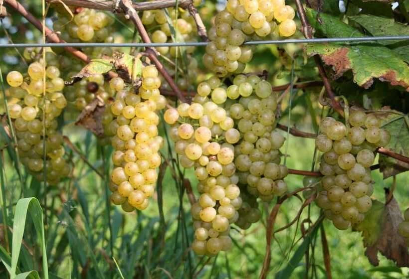 צימר De Kreitsberg Bed& Breakfast