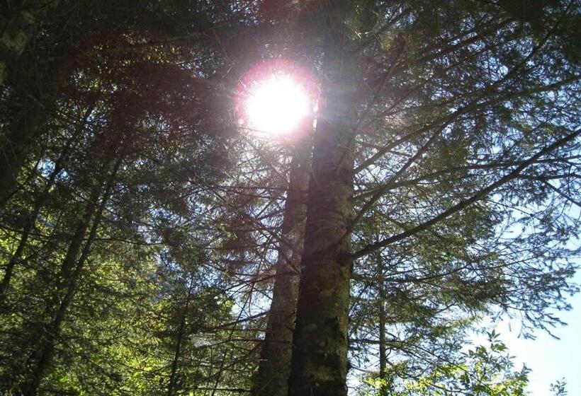 בית מלון כפרי Gemse