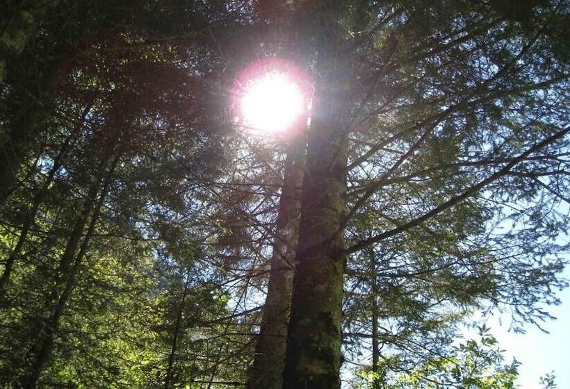 בית מלון כפרי Gemse