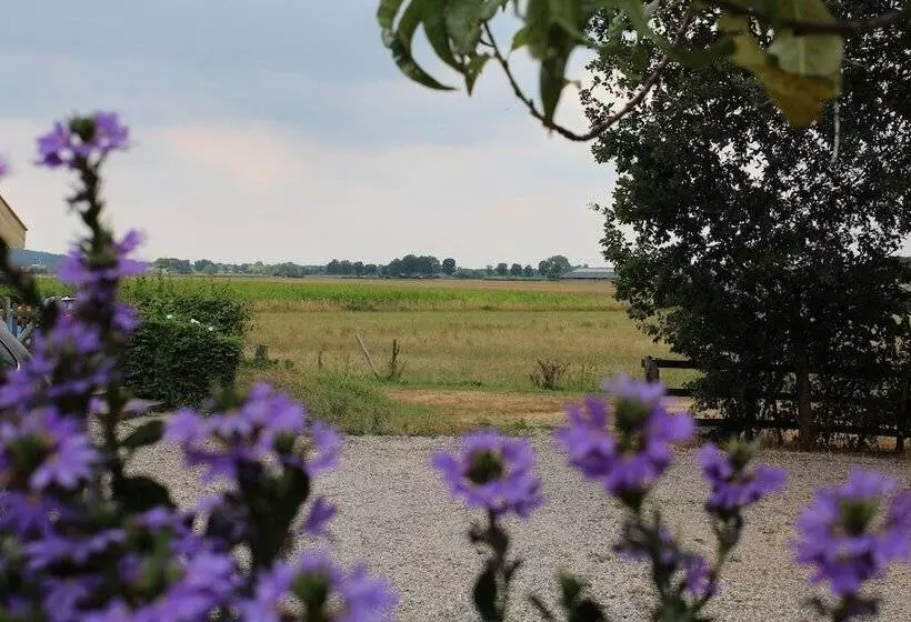 ホテル Havezathe Carpe Diem