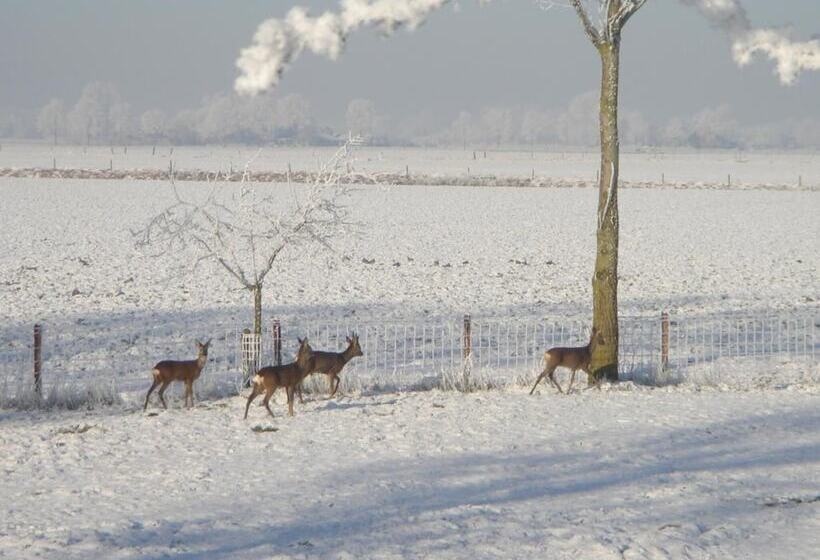 Hotelli Havezathe Carpe Diem