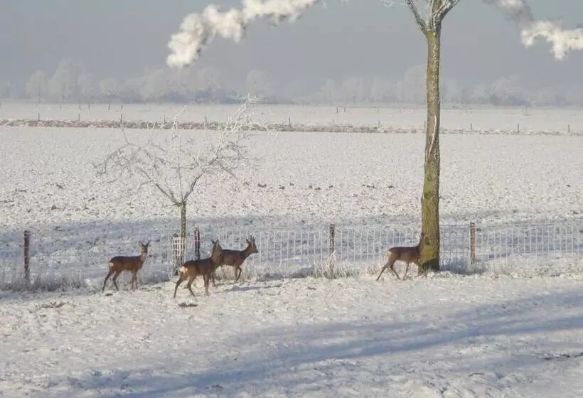 ホテル Havezathe Carpe Diem