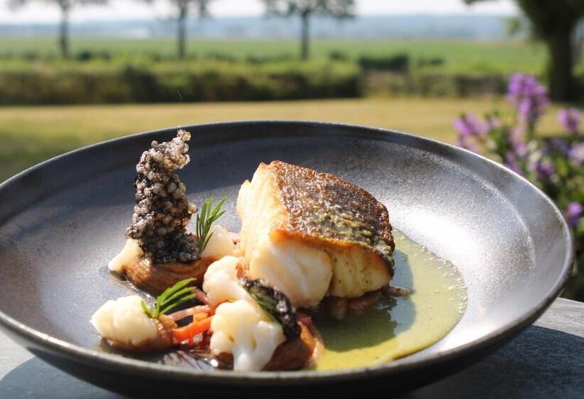 Hotelli Havezathe Carpe Diem