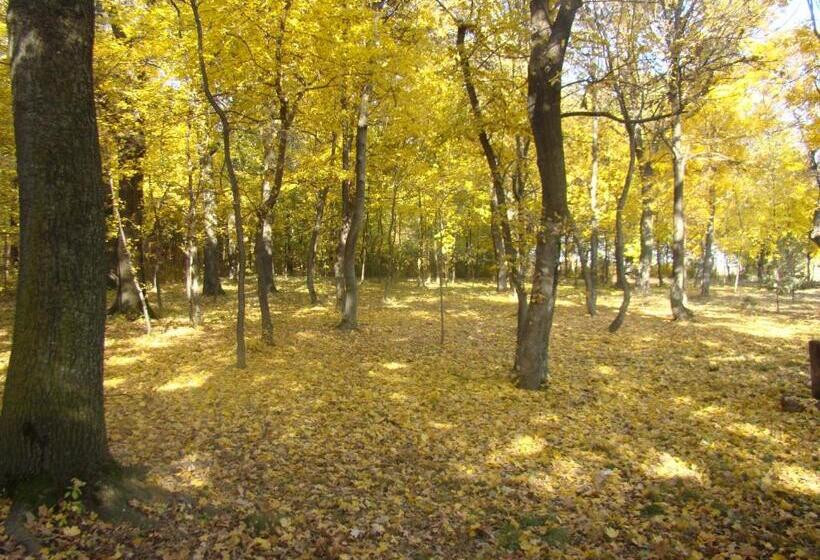 Отель Popasul Iancului