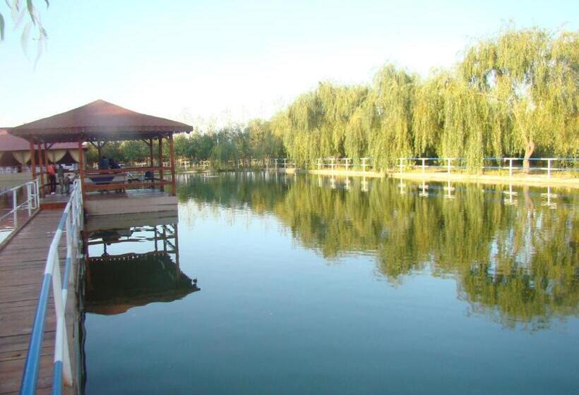 Отель Popasul Iancului