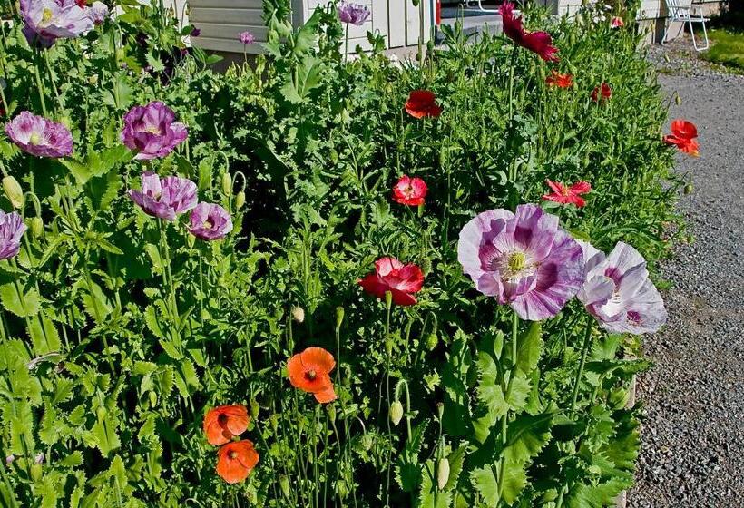 צימר Långänge Logi