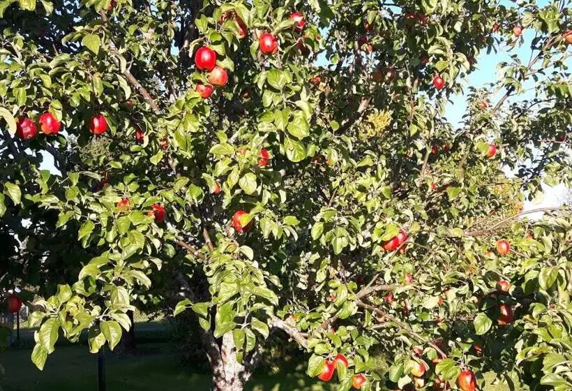 Aamiaismajoitus (B&B) Långänge Logi