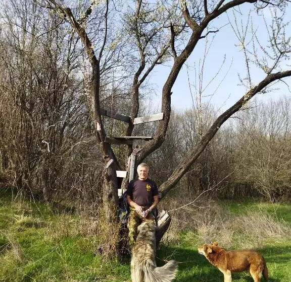 ペンション къща под наем Petrova