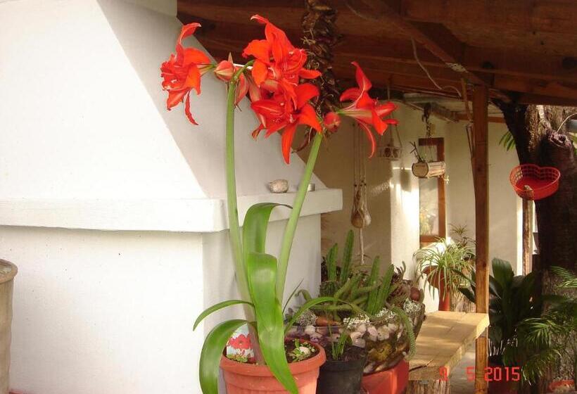 Pensión къща под наем Petrova