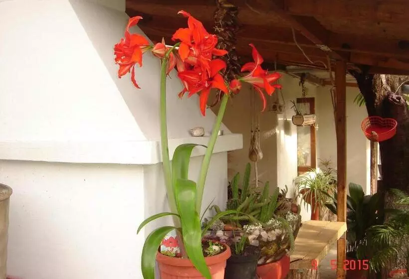 ペンション къща под наем Petrova