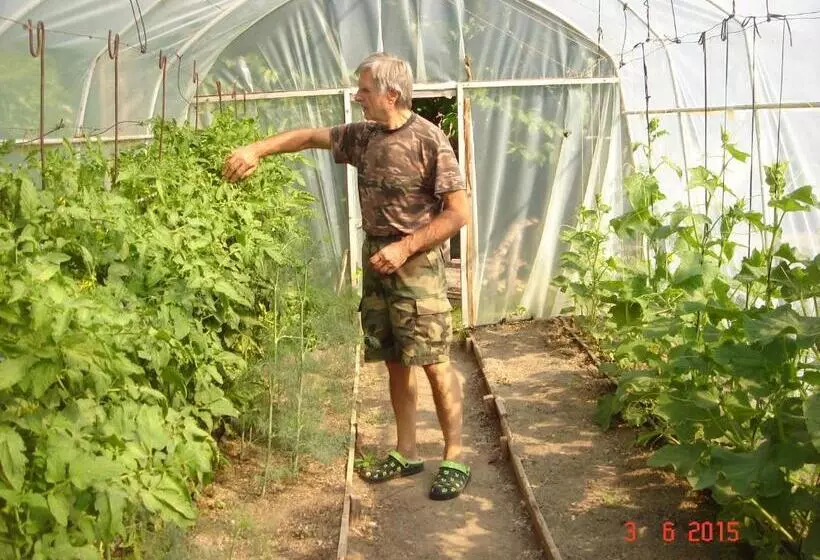 ペンション къща под наем Petrova